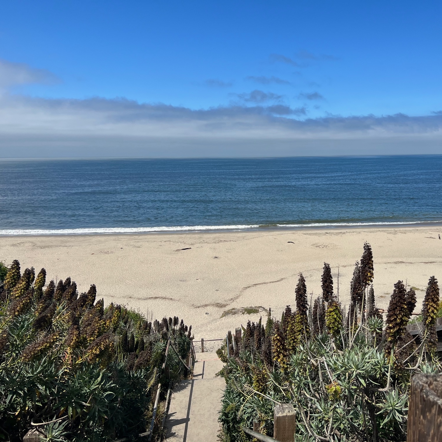 Holiday Relief Beach Cleanup @ Beer Can Beach - logo